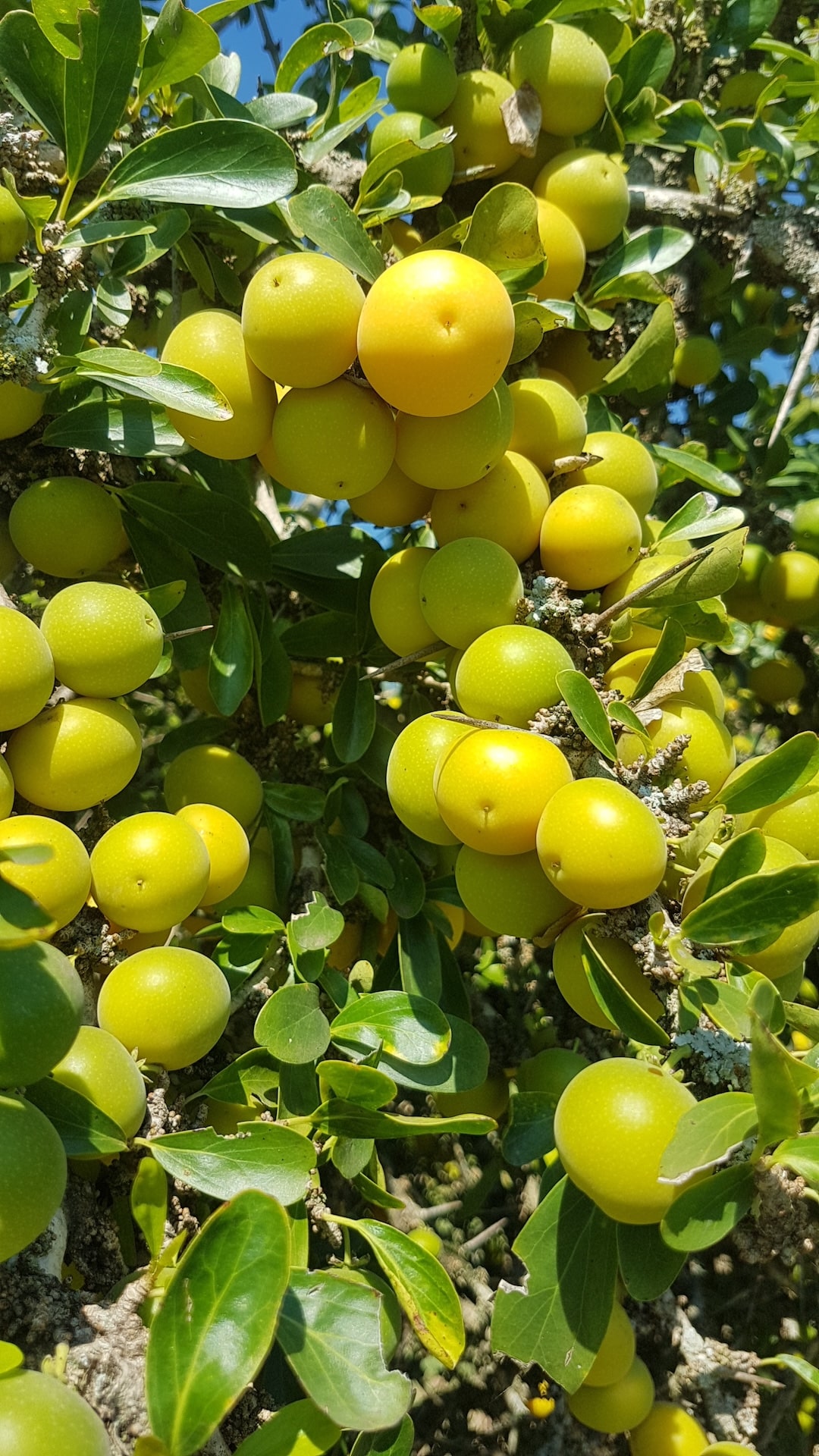 Copy of 20191129_083516-min